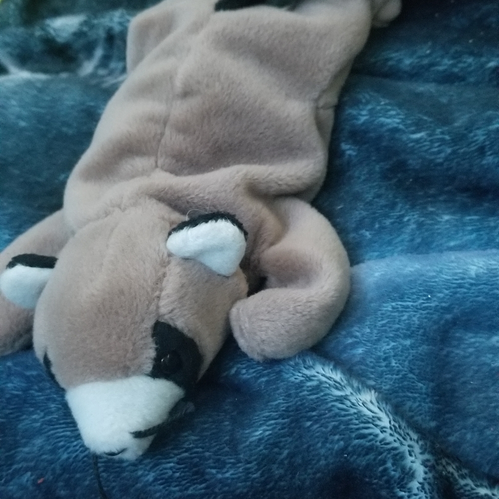 Ringo beanie baby